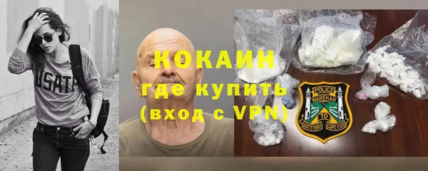 прущие грибы Сатка