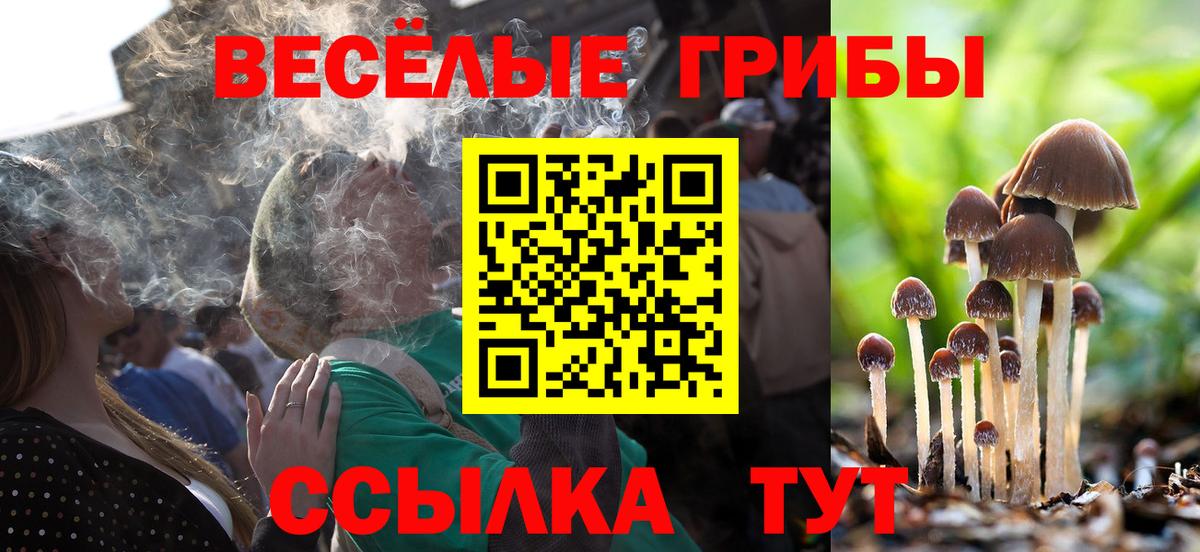 Псилоцибиновые грибы MAGIC MUSHROOMS  Вход с VPN  Кстово 